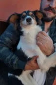 Frida