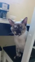 Sem nome ainda