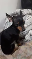 BUDDY
