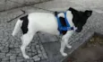 Não sabemos 
