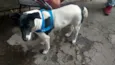 Não sabemos