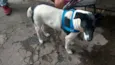Não sabemos 