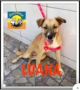 LUANA