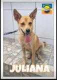 JULIANA