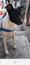 Sem nome