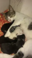 Bebê