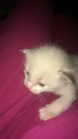 Bebê