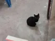 não tem nome
