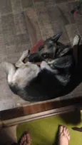 Luna