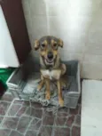 Lola
