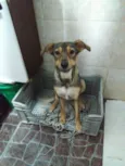 Lola