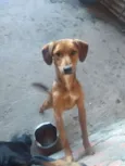 Não tem nome 