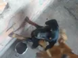 Não tem nome 