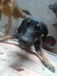 Não tem nome 