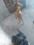 Não tem nome 