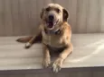 Zac