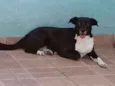 Paola