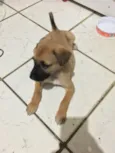 Não tem nome 