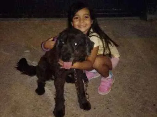 Cachorro ra a Não definida idade 6 ou mais anos nome Julie 