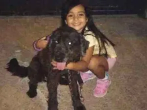 Cachorro raça Não definida idade 6 ou mais anos nome Julie 
