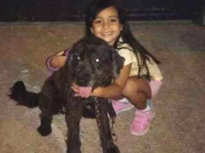 Cachorro ra a Não definida idade 6 ou mais anos nome Julie 