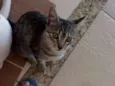 Mia
