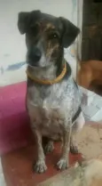 Esmeralda