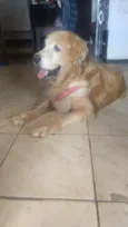 Brenda