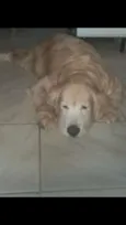 Brenda
