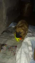 Beethoven