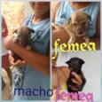 Sem nomes