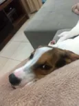Lola