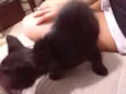 Nina