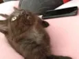 Nina