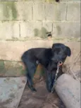 Luz