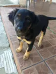 Nika