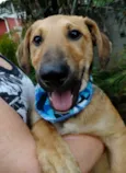 Angelito