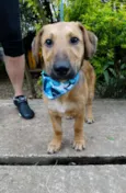 Angelito