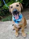Angelito