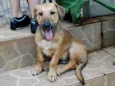 Angelito