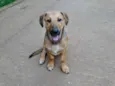 Angelito