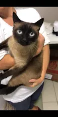Gata 