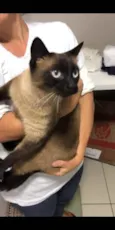 Gata 