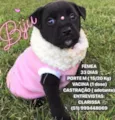BIJU