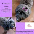 Cristina