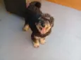 Bob