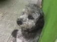 Nicka