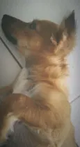 Tony