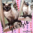 Georgia