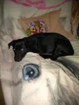 Princesa